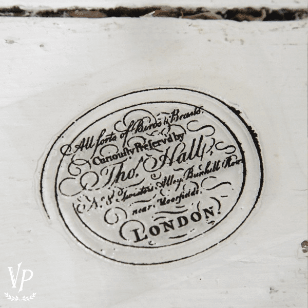 702026 Tampon decoratif Text Tho. Hall photographer 85 x 65 cm A