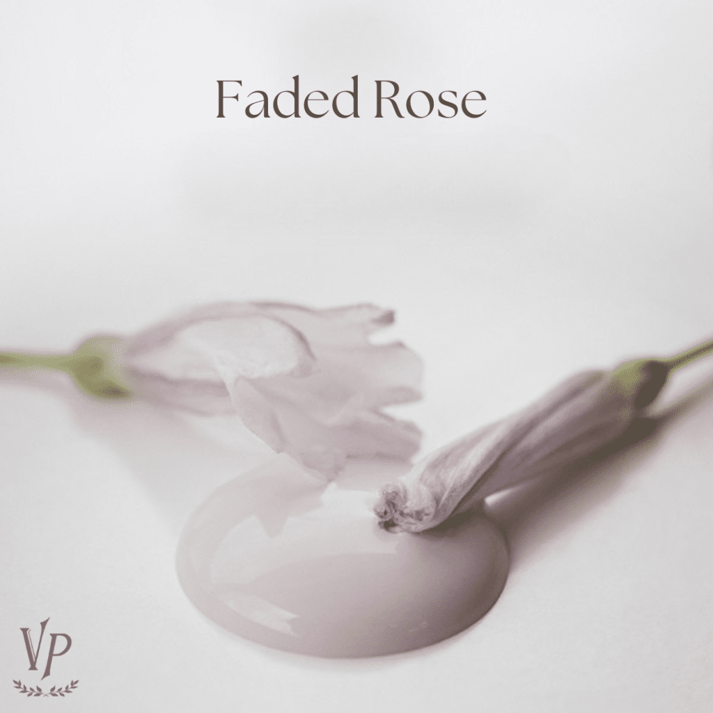 Faded Rose 1
