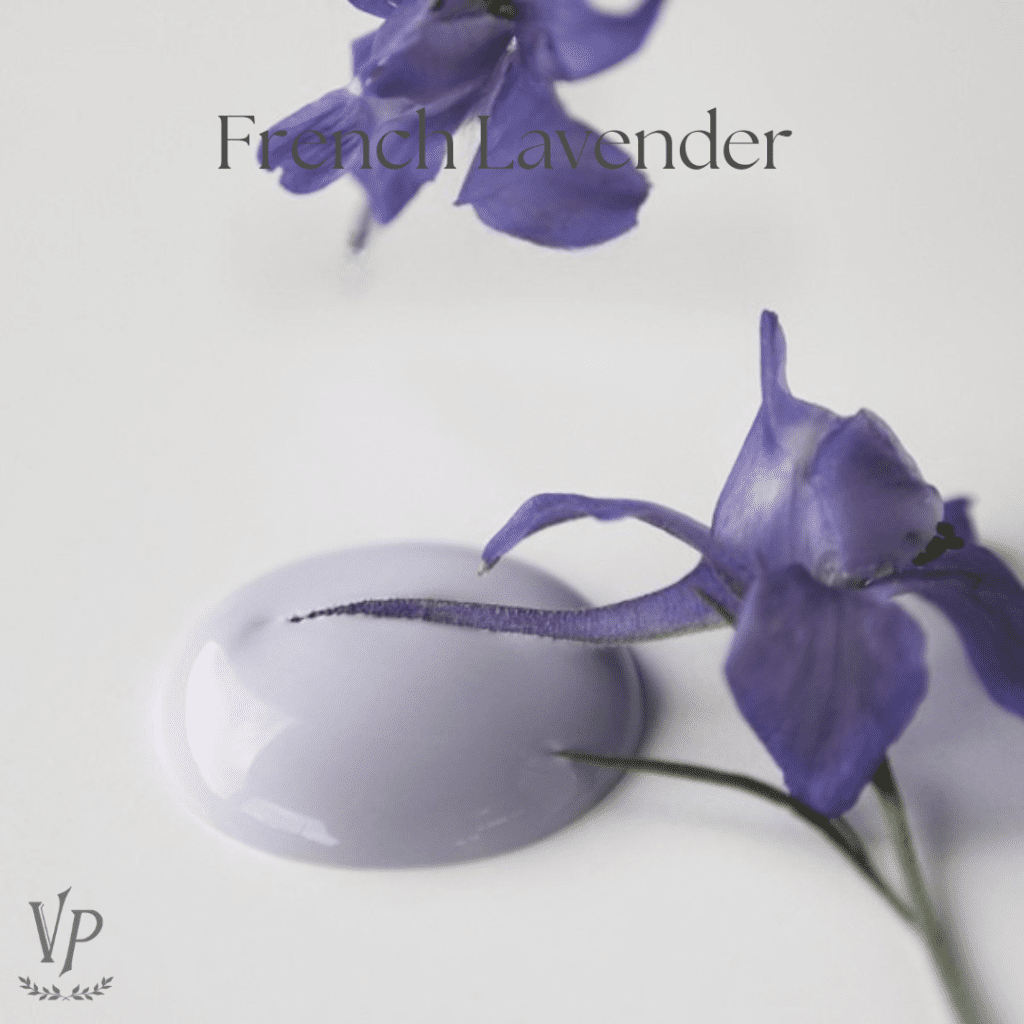 French Lavender 1
