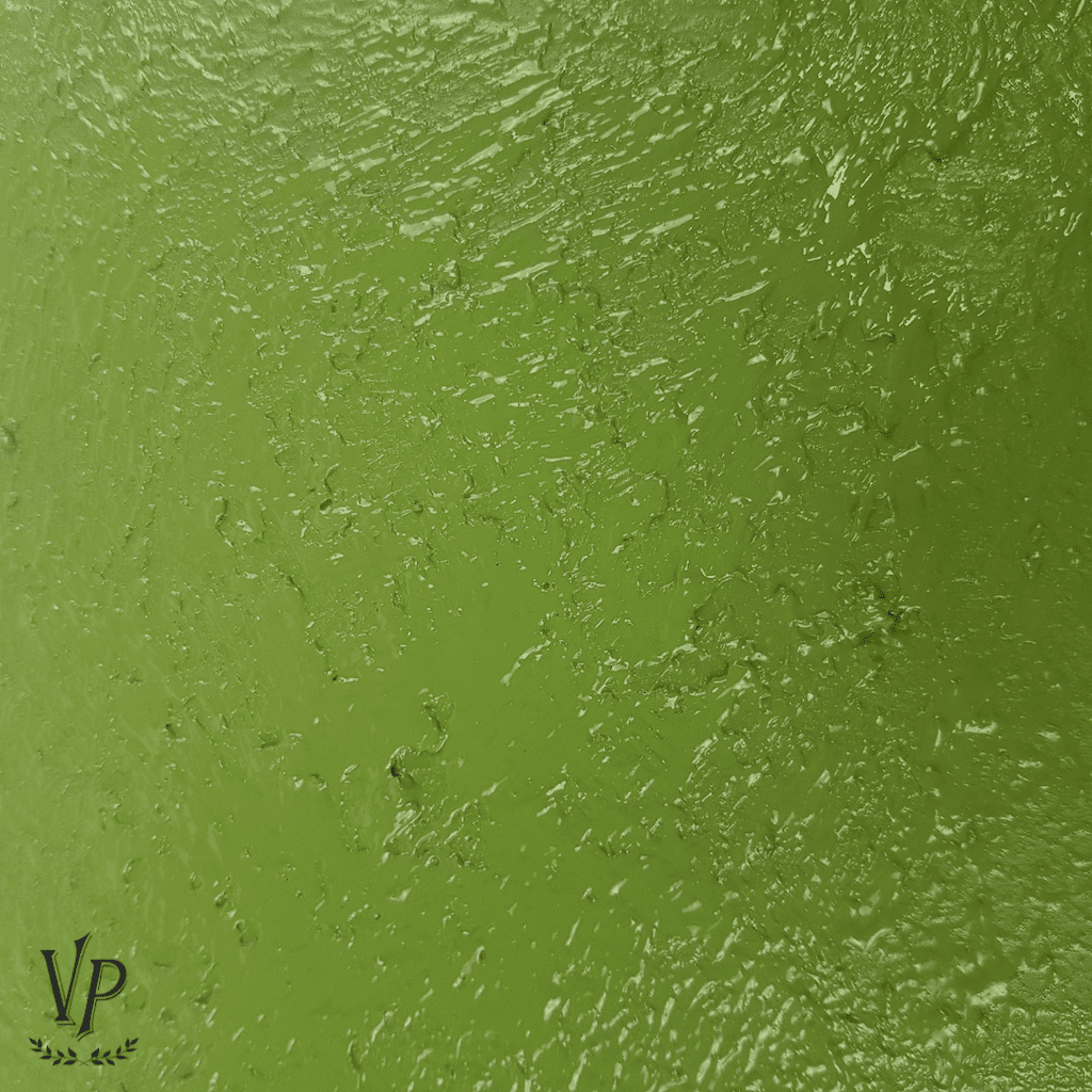 Poudre Esprit ecaille bord de mer Etape 2 004